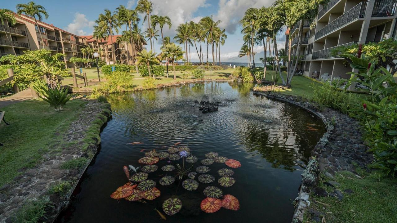 Papakea Resort G406 Lahaina Extérieur photo